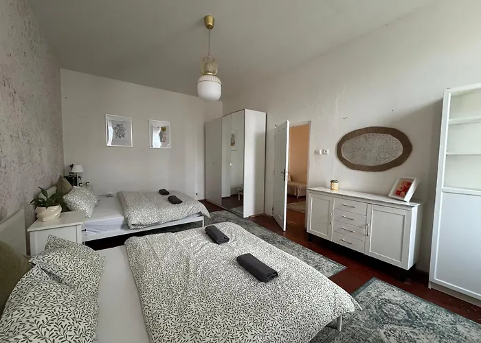 Zizkov Nest Spacious 2br براغ